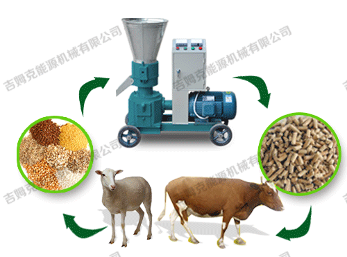 顆粒機(jī)、動物、顆粒